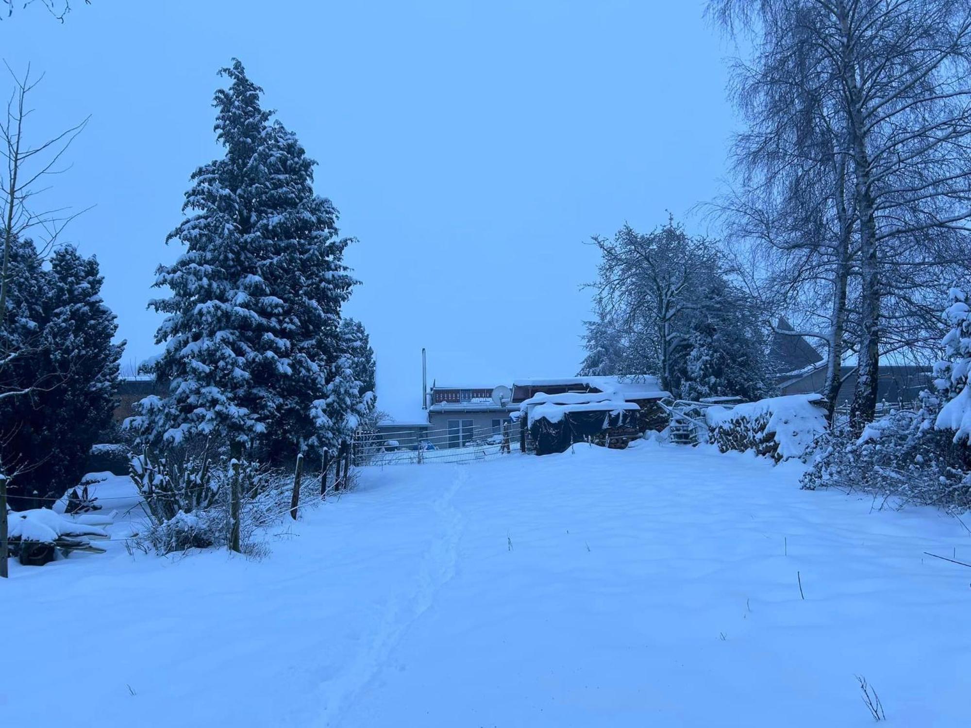 Ferienwohnung Classen Eifel Schleiden Kültér fotó